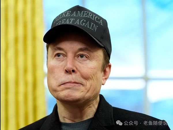 TON生态动态周观察：从数据增长到全球布局