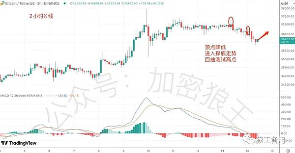 别急着下车！这场加密盛宴才刚开始