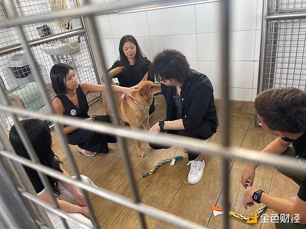 创业者必看：区块链如何成为你的商业加速器