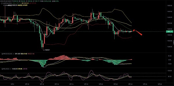 机构大举进军比特币ETF，但散户仍是市场主角